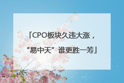 CPO板块久违大涨，“易中天”谁更胜一筹